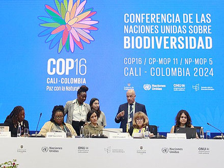 生態系保全の取り組み評価指標案、COP16でほぼ合意も中断し採択に至らず