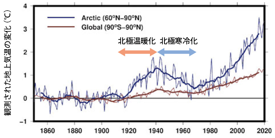 1850~1900年を基準とした地上気温の観測値(太線は9年移動平均)。北極(青線)は1920~40年ごろに温暖化、その後、70年ごろまで寒冷化した。地球全体(赤線)より変化の程度が大きい(ArCS IIニュースレター「北極の気候変動の謎に挑む」から)