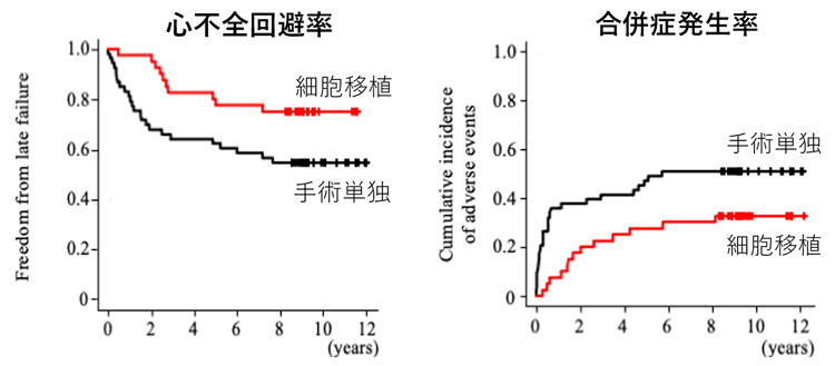 外科手術単独(黒線)と手術に幹細胞移植を併用した場合(赤線)で比較した、心臓手術後からの経過時間と、心不全回避率(左)と合併症発生率(右)の関係(岡山大学の王英正教授提供)
