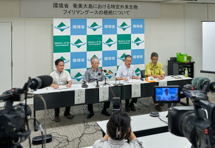 奄美大島の市街地で行われた環境省による根絶宣言の様子(国立環境研究所提供)
