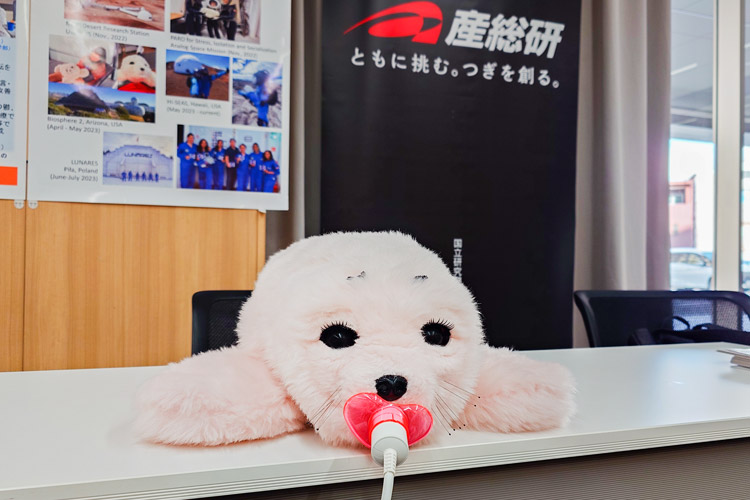 子どものアザラシを模した見た目だけでなく、触り心地や鳴き声も愛くるしいパロ