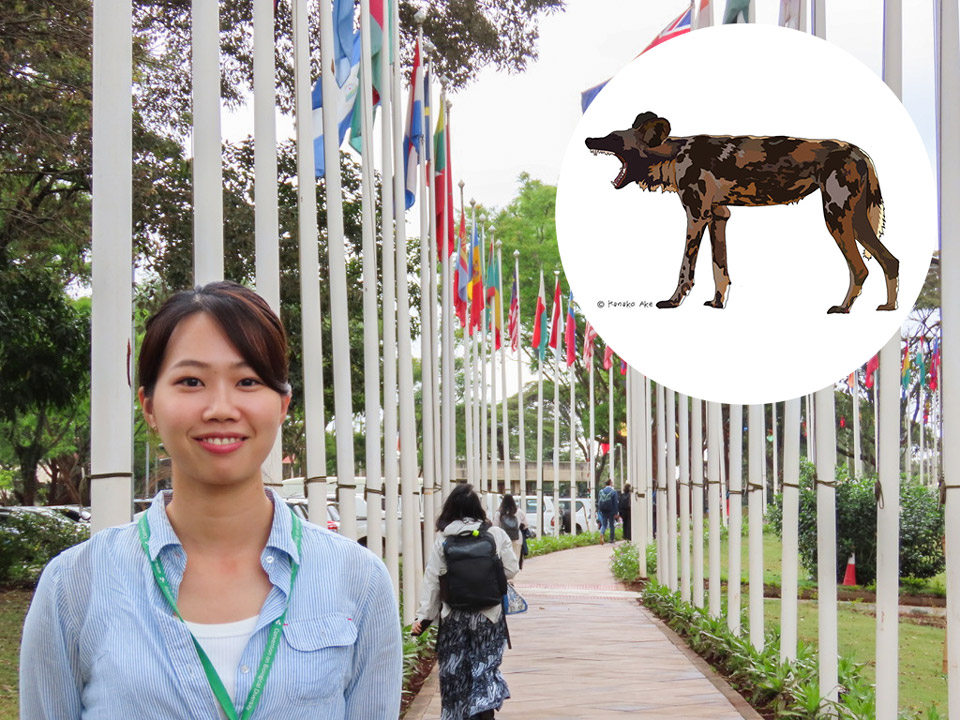 野生動物にとってメディアは諸刃の剣―情報の「裏側」への意識を（安家叶子／ROOTs代表・国際自然保護連合日本委員会副会長）