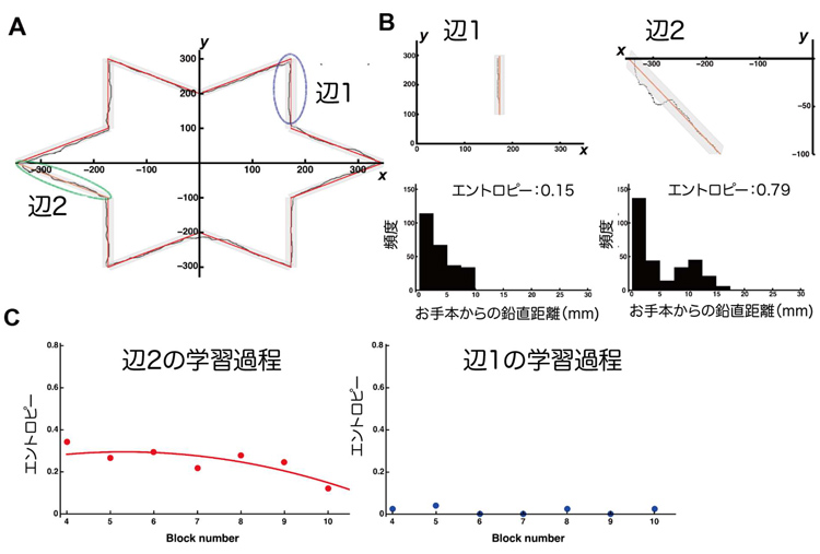 実験の結果、星のまっすぐな部分(辺1)は乱雑さが少ない状態で、お手本の線からの距離も近かったが、斜めの部分(辺2)では乱雑になり、お手本の線からの距離も離れていた(中京大学提供)