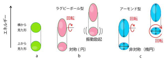 原子核の当初考えられていた形状(a)、その後提唱されたラグビーボール型の軸対称変形(b)、今回理研などが提唱したアーモンド柄の3軸非対称変形(c)、それぞれの概念図(理研提供)