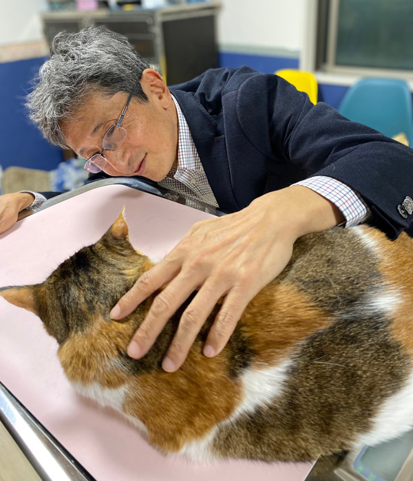 ネコの研究を通じ、「身近な現象でも分かっていないことがある」と話す佐々木特別主幹教授（ご本人提供）
