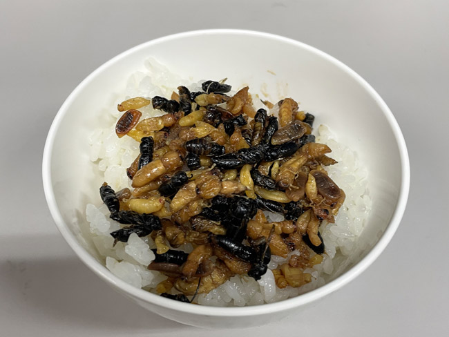 ご飯にのせた蜂の子。佃煮や炒めるなどして調理する（神戸大学の佐賀達矢助教提供）