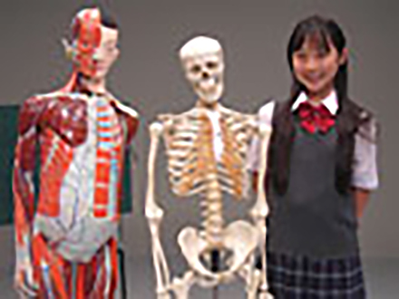 怖いけど知りたい体の話 （3）Body.3 骨と骨はどうやってつながっているの？