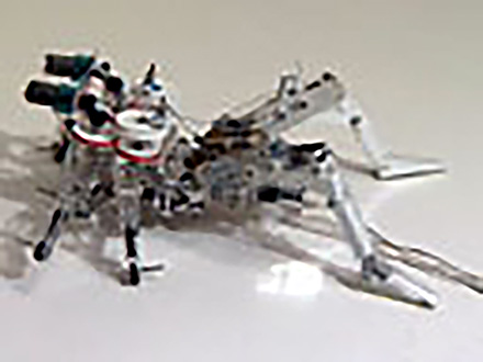 未来をひらく昆虫テクノロジー  （12）昆虫をまねて作るハイテクロボット