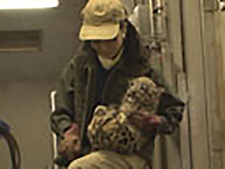 赤ちゃんがいっぱい （25）だってネコなんだもん　　ユキヒョウの巻