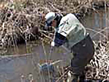 自然観察の達人 （8）用水路の魚たち〜魚をとって観察しよう！〜