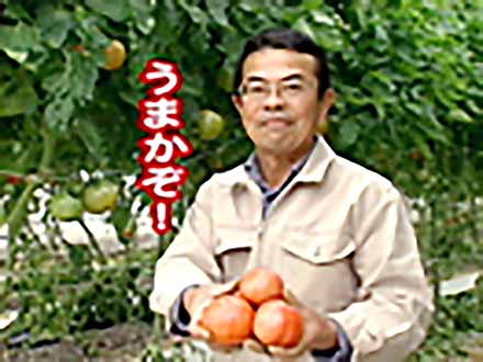 私のとれたて日本一！ （5）トマトは生きている