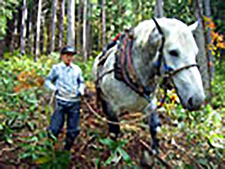 運び屋寄席 （2）馬が運ぶ