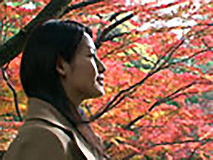 和暮らしのススメ〜暮らしの歳時記を科学する〜 （12）紅葉狩り