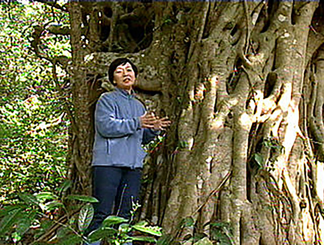 中村桂子の生物進化40億年の旅