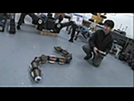 エコ・フロンティア〜自然に学ぶ科学技術 （2）ヘビの動きに学ぶ実用ロボット