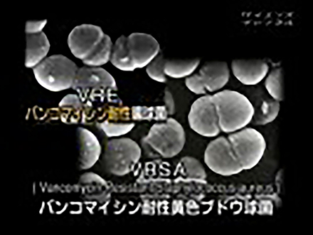 サイエンスフロンティア21 （11）バンコマイシン耐性の克服を目指して 新抗生物質創製への挑戦