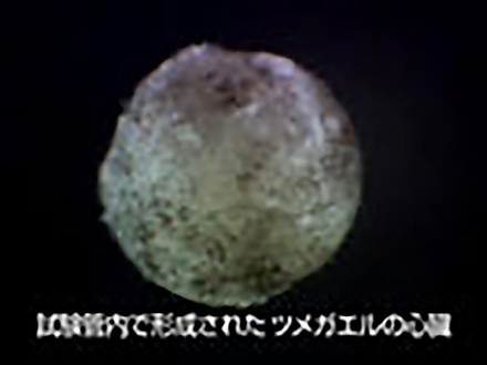 サイエンスフロンティア21 （57）器官の形成メカニズムを解く ICORP器官再生プロジェクト