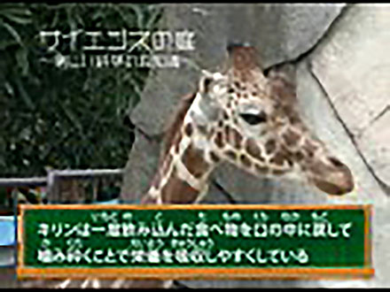 サイエンスの庭〜楽しい科学の豆知識 （1）動物シリーズ1〜アミメキリン