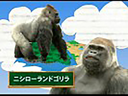 サイエンスの庭〜楽しい科学の豆知識 （2）動物シリーズ2〜ニシローランドゴリラ