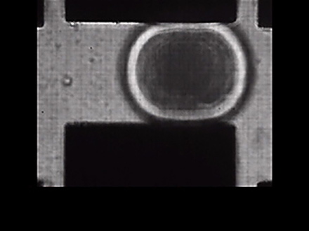サイエンスニュース2016 微小物体を自在に操る ナノマイクロ操作技術（2016年6月21日配信）