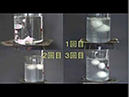 全国こども科学映像祭受賞作品 （41）H23年度第10回佳作小学生部門『ゆでた だんごは なぜうかぶのか？』