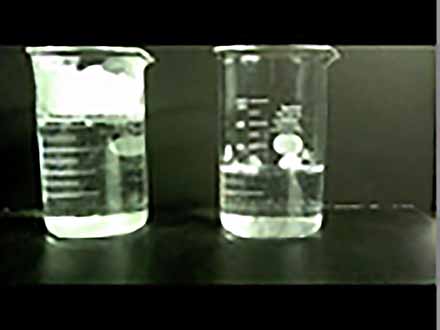 全国こども科学映像祭受賞作品 （43）H23年度第10回佳作中学生部門『食塩はなぜ壁を上っていくのか』