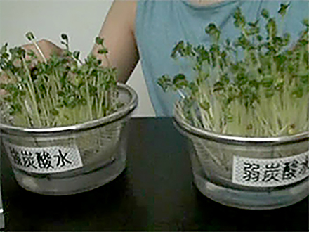 全国こども科学映像祭受賞作品 （66）H26年度第13回優秀作品賞小学生部門『炭酸水で植物を育ててみよう！Part2』