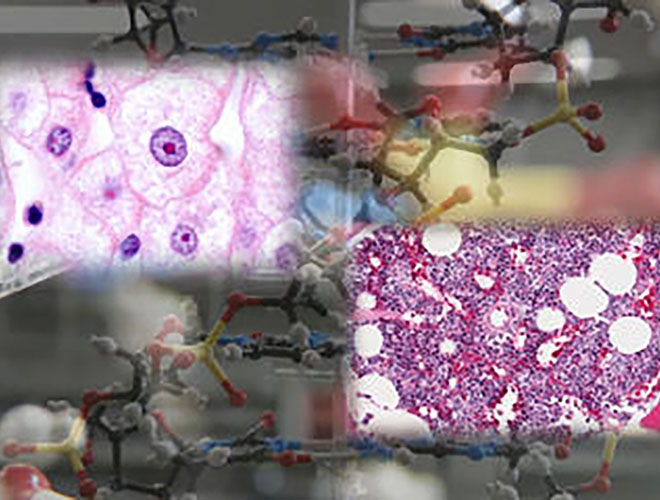 Scientific Frontier Series