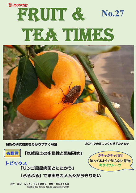 Fruit & Tea Times（農業・食品産業技術総合研究機構）