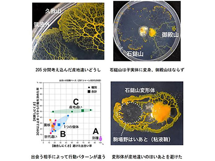 平成26年度「野依科学奨励賞」発表